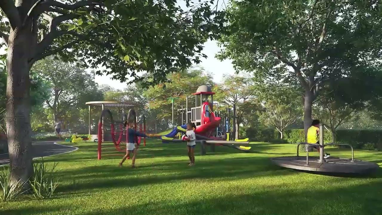 Plotted Land Films - Ardene